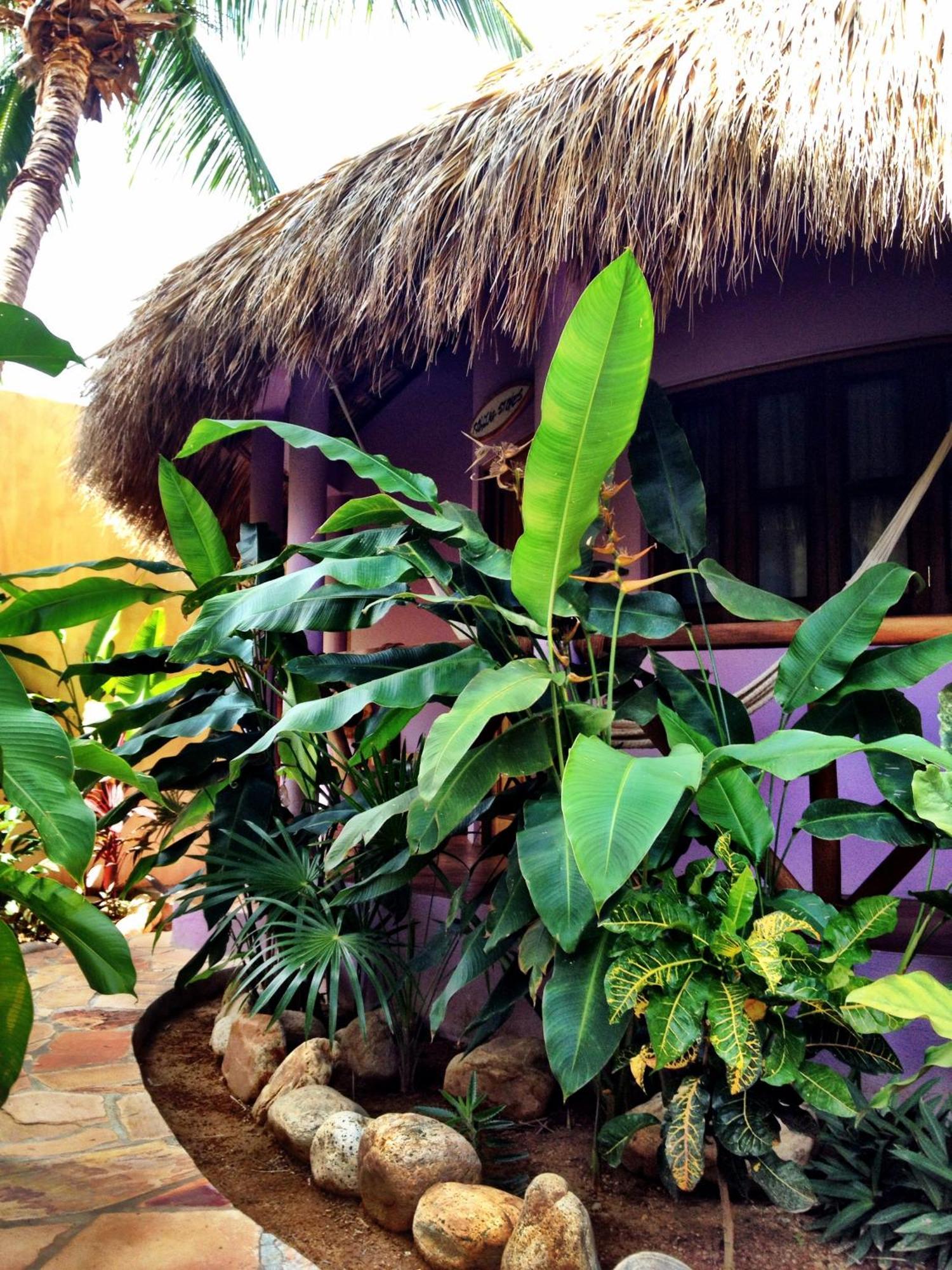One Love Hostal Puerto Escondido Puerto Escondido  Quarto foto